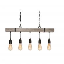  NOAP3010MBDG - NOAH PENDANT MEDIUM BASE