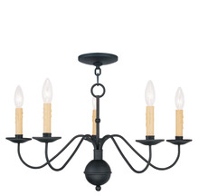  4495-04 - 5 Light Black Chandelier