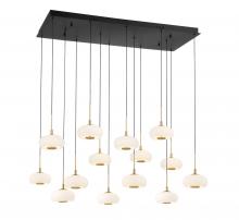  10200-02 - Adelfia, 14 Light Rectangular LED Chandelier, Matte Black