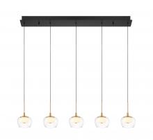  10217-02 - Manarola, 5 Light Linear LED Chandelier, Matte Black