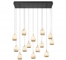  12142-02 - Lucidata, 14 Light Rectangular LED Chandelier, Matte Black