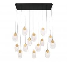 Lib & Co. US 12294-02 - Castelo, 14 Light Rectangular LED Chandelier, Matte Black