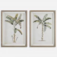  41446 - Banana Palm Framed Prints, Set/2