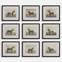 Uttermost 32343 - Uttermost Equine Dynasty Framed Prints, S/9