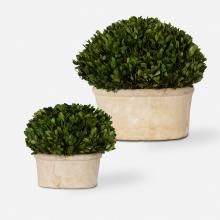  60107 - Oval Domes Preserved Boxwood Set/2