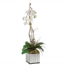  60122 - White Kaleama Orchids