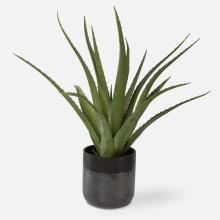  60204 - Tucson Aloe Planter