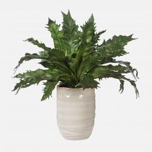  60229 - Uttermost Verdure Fern In Glazed Pot