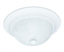 Savoy House 6-13264-13-80 - 2-Light Ceiling Light in Matte White