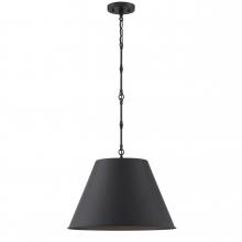  7-231-1-89 - Alden 1-Light Pendant in Matte Black