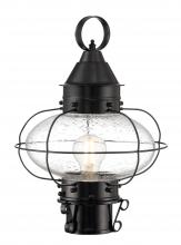 Norwell 1321-BL-SE - Cottage Onion Outdoor Post Lantern - Black with Seeded Glass