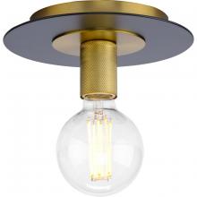  P350247-109 - Trimble Collection One-Light Brushed Bronze 9" Flush Mount