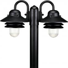  P5493-31 - Newport Collection Non-Metallic Two-Light Post Lantern