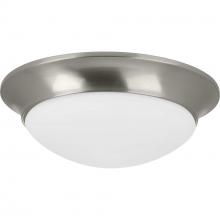  P350147-009 - Two-Light 14" Etched Glass Flush Mount