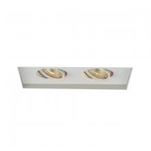  MT-216TL-WT - Low Voltage Multiple Invisible Two Light Trim