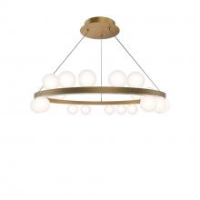  PD-21528-40-BK - Carousel Chandelier Light