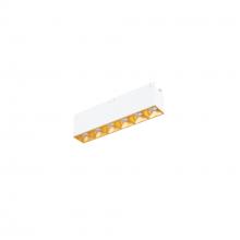 WAC US R1GDL06-N927-GL - Multi Stealth Downlight Trimless 6 Cell