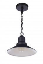  ZA5401-MN - Singleton 1 Light 11" Outdoor Pendant in Midnight