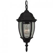  Z261-TB - Bent Glass 1 Light Outdoor Pendant in Textured Black