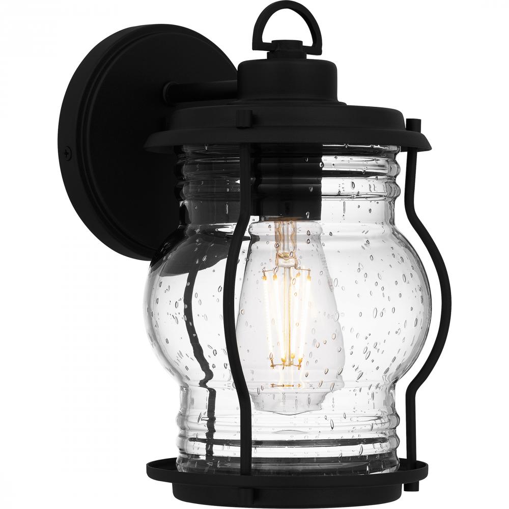 Luther 1-Light Earth Black Outdoor Wall Lantern