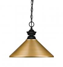  100701MB-MSG - 1 Light Pendant