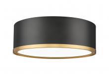  1018F12-MB-MGLD-LED - 1 Light Flush Mount