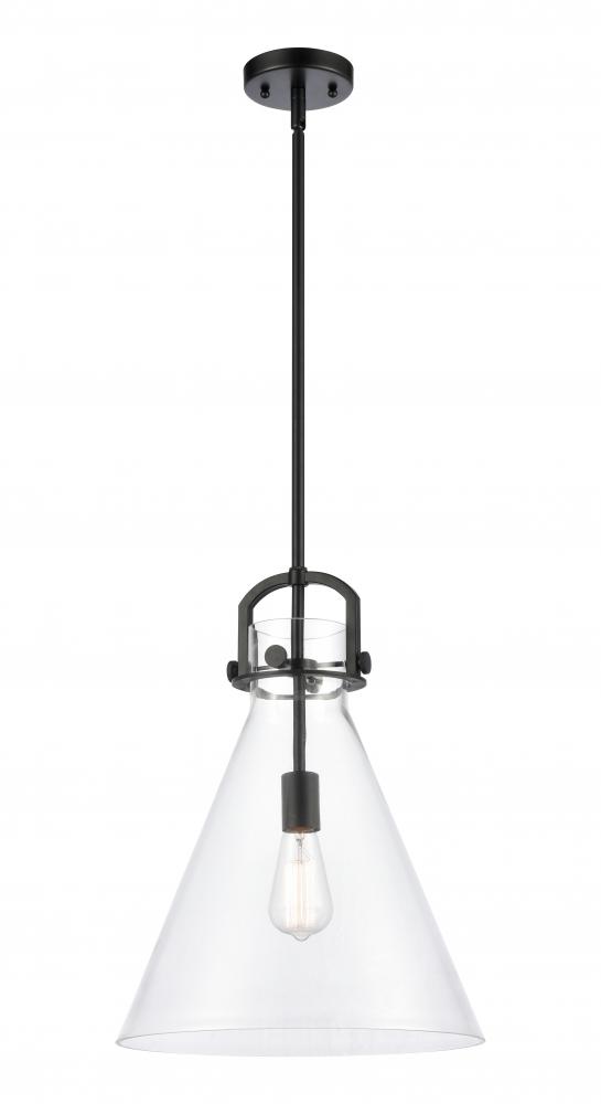 Newton Cone - 1 Light - 14 inch - Brushed Brass - Pendant