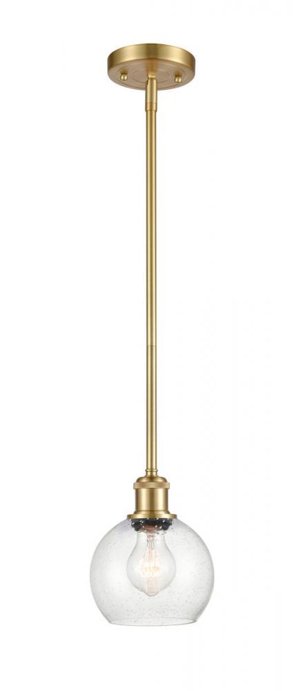 Athens - 1 Light - 6 inch - Satin Gold - Mini Pendant