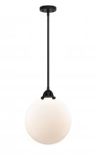 Innovations Lighting 288-1S-BK-G201-12 - Beacon - 1 Light - 12 inch - Matte Black - Cord hung - Mini Pendant