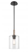  442-1S-BK-G4424-7 - Paladin - 1 Light - 7 inch - Matte Black - stem hung - Mini Pendant