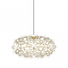  C76324GL - Coral Chandelier