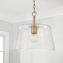 Capital 246911AD - 1 Light Pendant