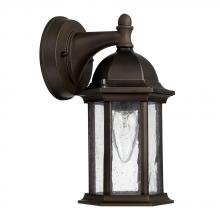  9831OB - 1 Light Outdoor Wall Lantern