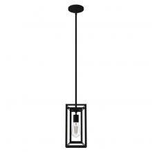 Hunter 19755 - Hunter Doherty Natural Black Iron 1 Light Mini Pendant Ceiling Light Fixture