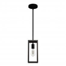  19769 - Hunter Squire Manor Matte Black and Dark Ash 1 Light Pendant Ceiling Light Fixture