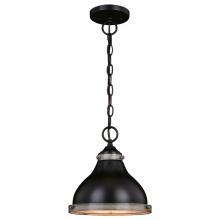  P0367 - Sheffield 10-in. Pendant New Bronze and Distressed Ash with Light Silver Inner