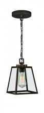  P0050 - Grant 7-in Mini Pendant Burnished Bronze