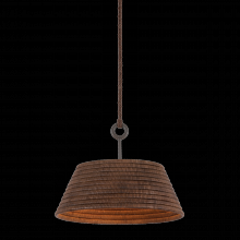  F2824-TBZH - SEQUOIA Pendant