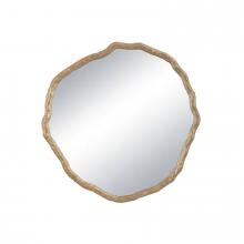  21-1166 - Regina Andrew Vine Mirror Small (Antique Gold)