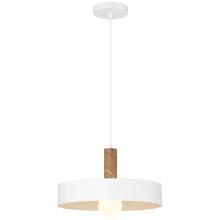  23798-WH/WGN - 1 Light Pendant