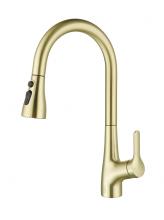  FAK-305BGD - Andrea Single Handle Pull Down Sprayer Kitchen Faucet in Brushed Gold