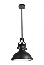  LD5001D13ORB - Eamon Collection Pendant D13 H13.3 Lt:1 Oil rubbed bronze Finish