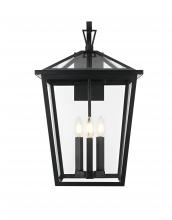  OD334W23BK - Oxford 7 inch Outdoor Pendant in Black