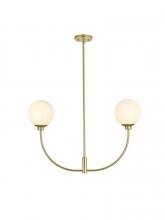 Elegant LD816D30BR - Nyomi 30 Inch Chandelier in Brass