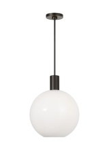 Visual Comfort & Co. Studio Collection DJP1181MBK - Colewood