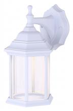  LOL336WH - Dane 1 Light Outdoor Lantern, White Finish