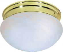  SF76/675 - 2 Light - 10" Flush with Alabaster Glass - Polished Brass Finish