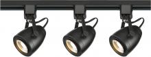  TK414 - LED Track Kit - 12 Watt LED - 3000K - 4 foot Track - 36 degree - Pinch Back - Black Finish