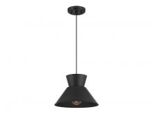  M7049MBK - 1-Light Pendant in Matte Black