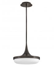  FR35047BX - Medium LED Convertible Pendant